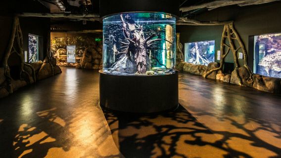 Cairns Aquarium al crepuscolo