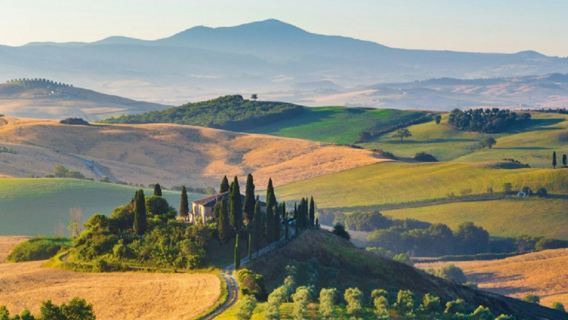 Pienza y Montepulciano: Excursión de un día desde Florencia + Cata de vinos en Montalcino