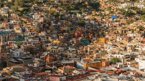 Mexico + Frida Kahlo Museum + Coyoacán District + Hotchcalco 1-day tour