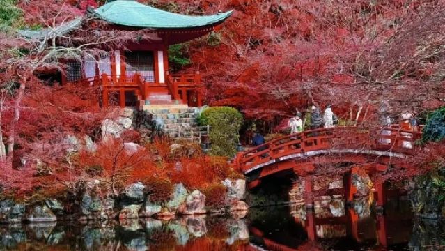 日本京都-嵐山-渡月橋-貴船神社-三千院/可大阪包車【精選】