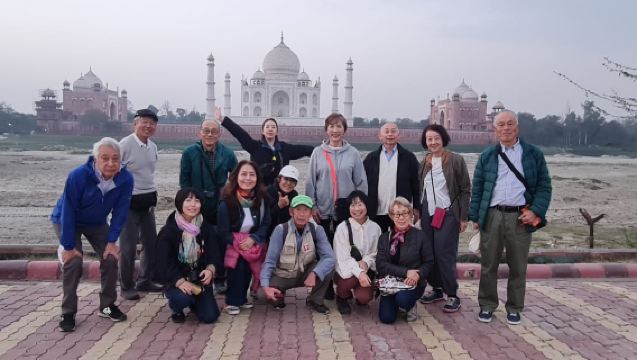 Taj Mahal al amanecer y tour ético de vida salvaje SOS Elephant