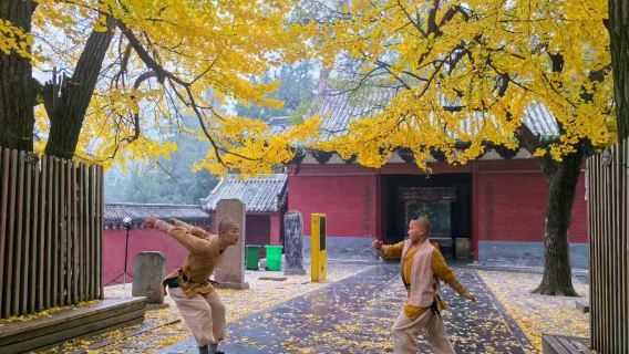 Journey Through History: Private Tour to Discover the Shaolin Temple and Longmen Grottoes