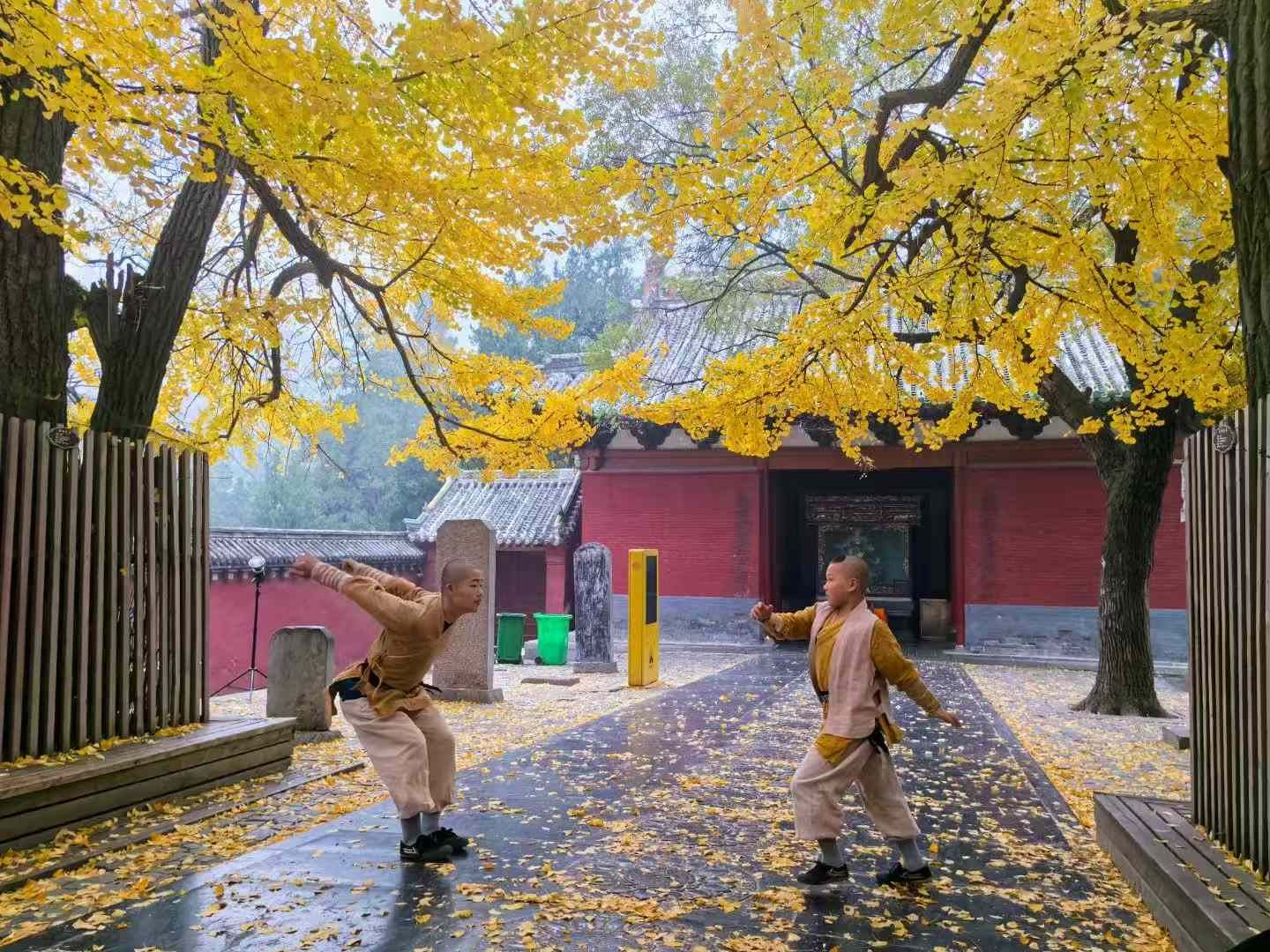 Viaggio attraverso la storia: tour privato per scoprire il Tempio Shaolin e le Grotte di Longmen