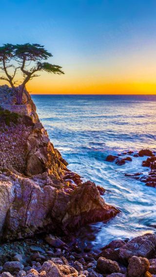 San Francisco, Monterey, 17 Mile Drive, Pebble Beach, Carmel-by-the-Sea Day Trip | Small Group Tour (No More Than 12 People)