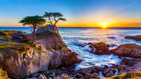 San Francisco, Monterey, 17 Mile Drive, Pebble Beach, Carmel-by-the-Sea Day Trip | Small Group Tour (No More Than 12 People)