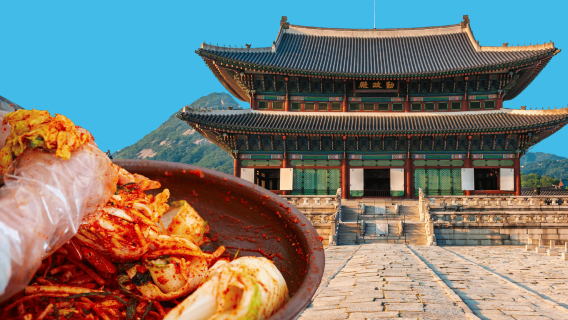 서울데이 투어