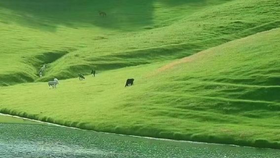 貴州六盤水烏蒙大草原一日遊【獨立團*含門票*到府接送】