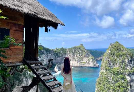 Departing from Bali: 1-day tour of East Penida Island attractions|Diamond Beach + Viral Treehouse
