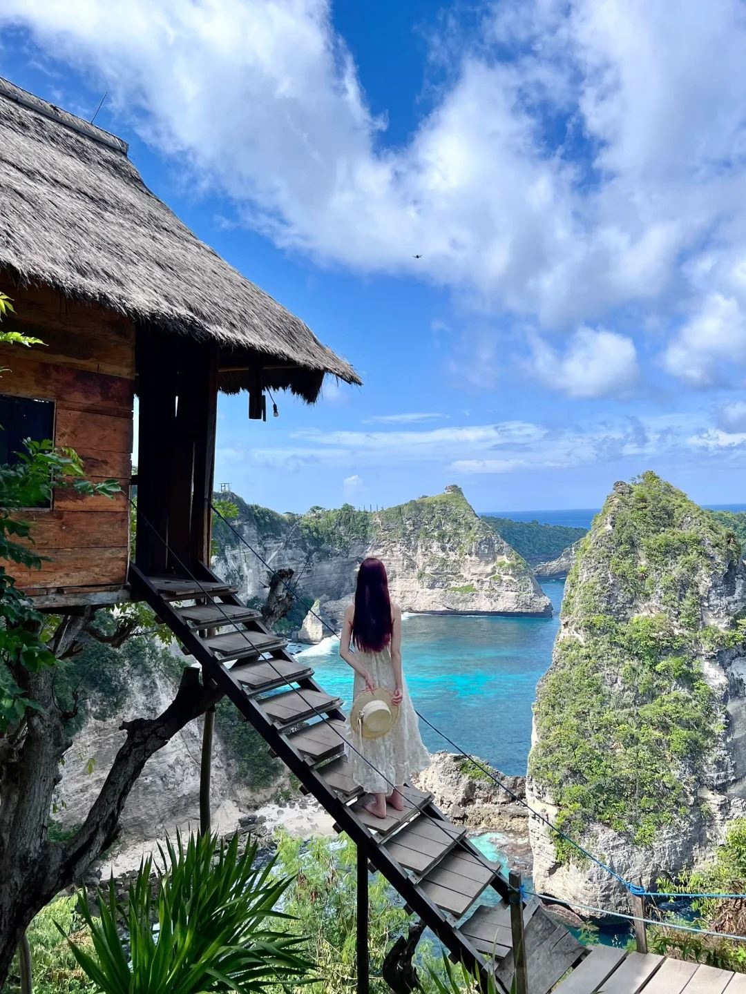 Departing from Bali: 1-day tour of East Penida Island attractions|Diamond Beach + Viral Treehouse