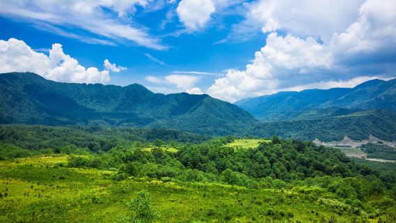 Dari Chengdu: perjalanan satu hari ke Ya'an, Gunung Mengding, dan Kota Shimian Menghuo dengan sewa kendaraan pribadi dan pemandu wisata Multibahasa