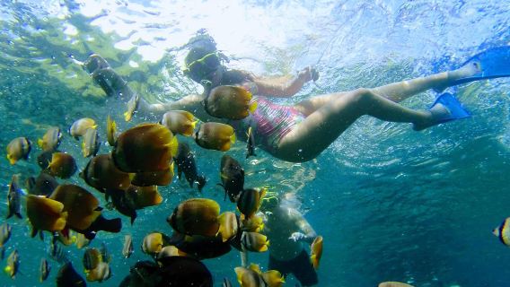 Bali: 2-Spot Snorkeling Shared Tour with Manta Point in nusa penida