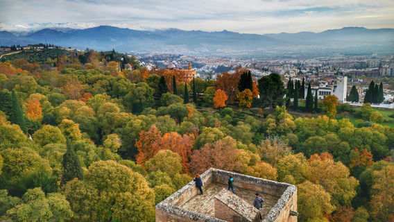 Granada