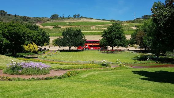 Paarl, Franschhoek, Stellenbosch Region Explorer Wine Tour