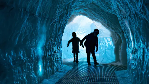 Perlan Museum: Entry Ticket