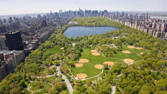 紐約經典地標深度遊|10小時包車專屬體驗,解鎖大蘋果城市魅力