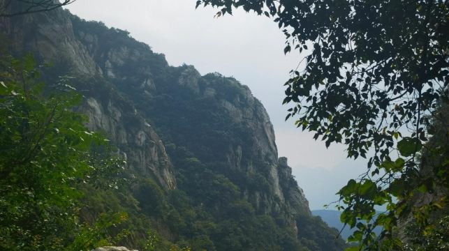 嵩山中嶽廟-少室闕+嵩陽書院-法王寺包車一日遊可中英文服務