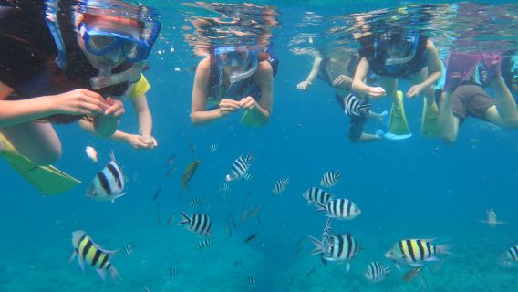 日本那霸三重城港體驗潛水浮潛3小時【那霸市區定點接送】7-9月限定慶良間半日浮潛&香蕉船】