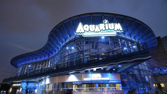 Downtown Aquarium Denver: Entry Ticket
