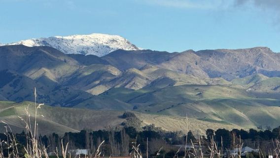 From Blenheim/Picton: Marlborough Gourmet Wine Tasting Tour