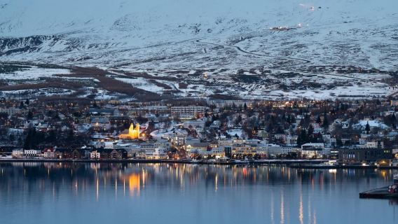 Akureyri: costa artica e osservazione delle balene