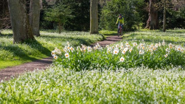 Biglietto d'ingresso per il Castello di Floors, Giardini e Terreni