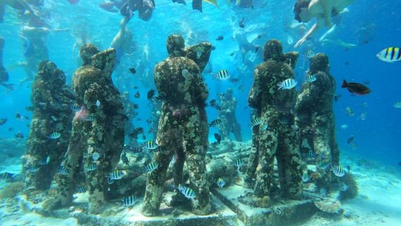 Da Lombok: gita di un giorno con snorkeling alle isole Gili