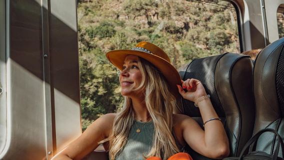 Machu Picchu: 1-day tour by Vistadome Observatory train