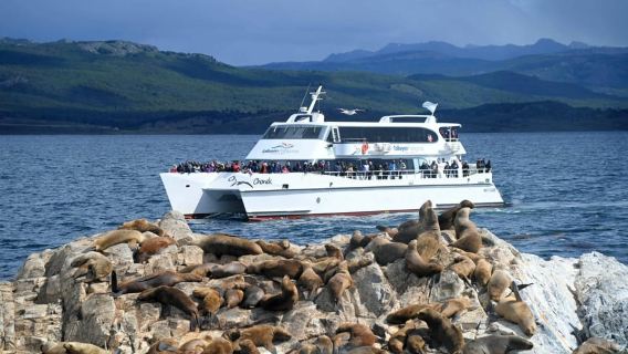 Half-Day Tour through the Beagle Channel to Lobos Island