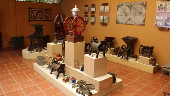 Dari Huatulco: Tur 3 Tingkat, Kopi, Budaya, dan Alam