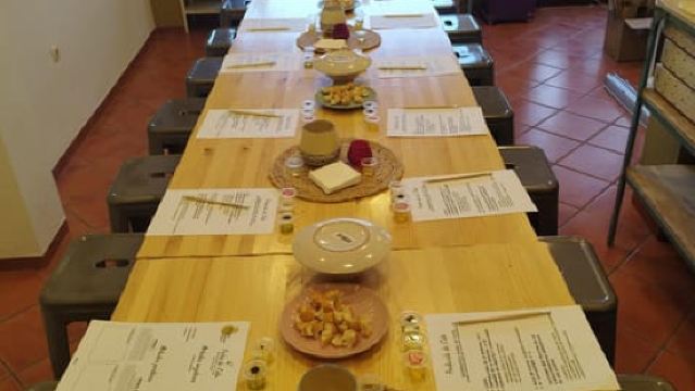 Baeza: Olivenöl-Verkostung