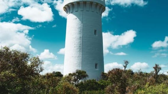 Мельбурн: дневной тур по Грейт-Оушен-Роуд и живописным прибрежным видам