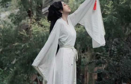 大新旅拍【德天跨國瀑布/明仕田園約拍陪拍跟拍航拍多語言翻譯本地攝影師】