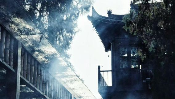 Taman Sains Empat Harta Karun Pergunungan Qin + Kuil Guanyin Kuno lawatan sehari [pastikan tempah awal ya~]