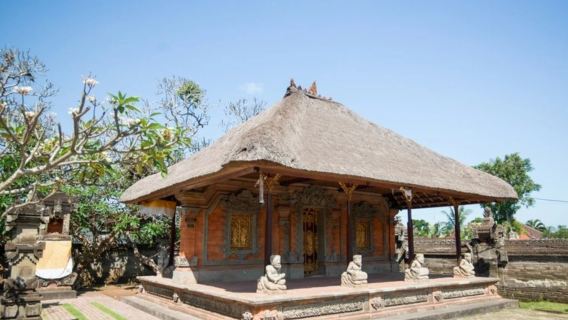 Tagesausflug zum Königspalast Ubud, Ubud-Markt, Affenwald und Reisterrassen in Bali