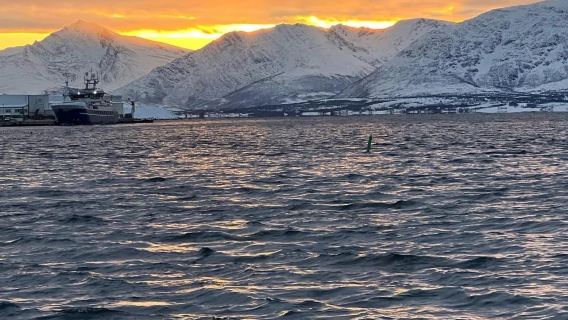 挪威特羅姆瑟-專業追光團隊-夜間追極光-包車/跟小團-可定制