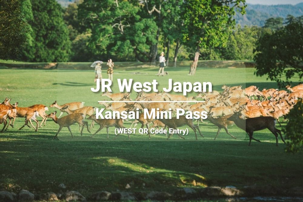 [Biglietto ufficiale] JR West Kansai Area Pass 3 giorni (accesso con codice QR WEST)