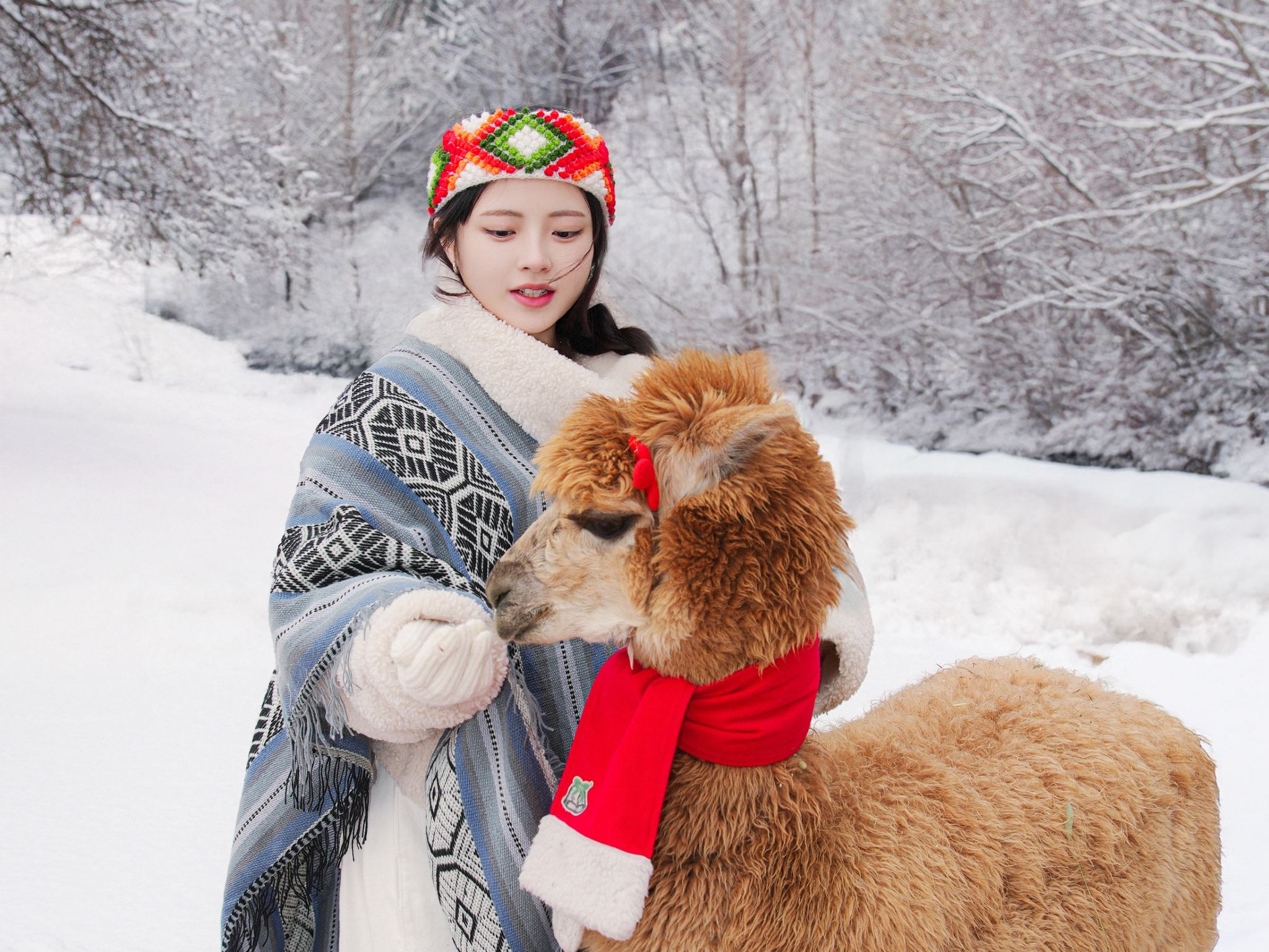 Alpaca World + Nami Island + Gangchon Railbike One Day Tour (From Seoul)