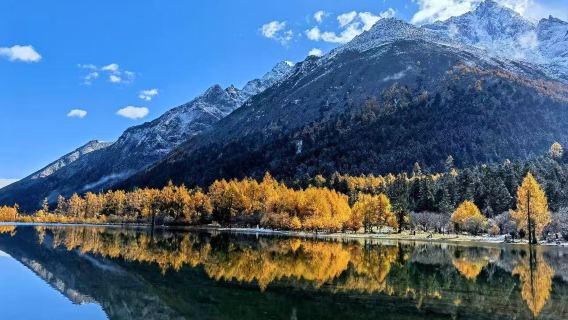 Partenza da Chengdu: tour di un giorno alla Valle Bipeng [12H noleggio con conducente esclusivo|Tempo a disposizione|Viaggi di qualità