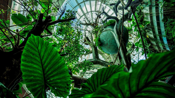 中文包車-杜拜奇蹟花園+綠色星球一日遊-上門接駁