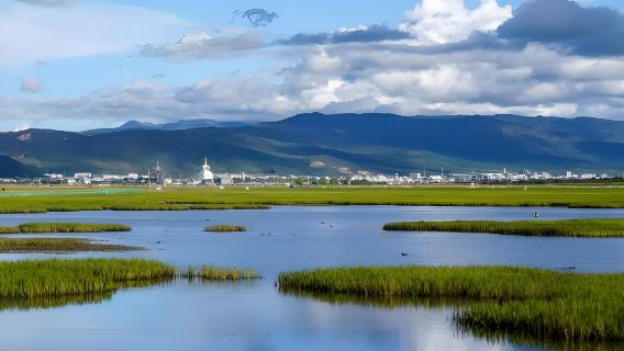 Shangri-la 1-Day English Mini-Group Tour: Tiger Leaping Gorge, Napa Lake and Dukezong Town