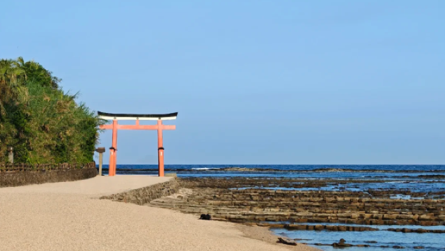 日本|宮崎日南海岸青島+鬼之搓衣板+鵜户神宮包車一日遊