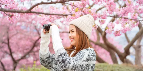 首爾出發| 韓屋村 + 安山櫻花路 + 瀑布咖啡一日遊