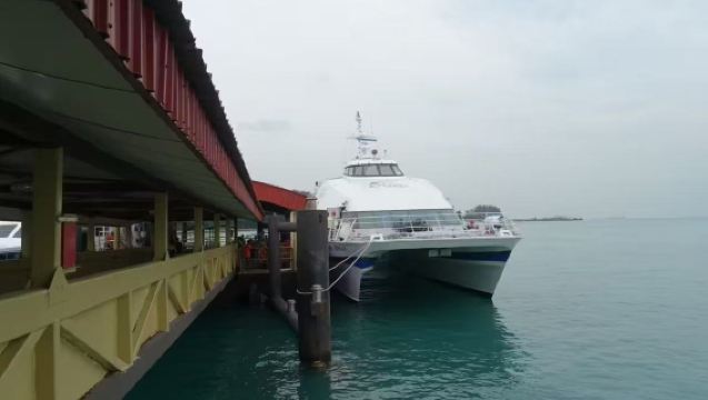 Traslado punto a punto desde el centro de Singapur al puerto de Tanah Merah (hacia la isla de Bintan)