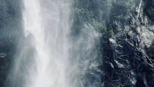 皇后鎮出發：米爾福峽灣遊船共乘一日遊