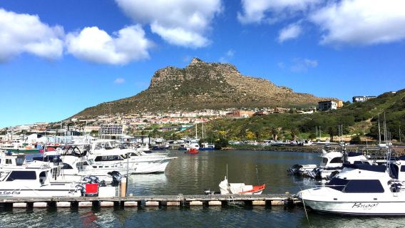 Lawatan Sehari Cape Town, Afrika Selatan + Kawasan Melayu + Gunung Meja + Bandar Hout Bay [Sewaan Peribadi Berbahasa Cina dengan Pengangkutan dari Pintu ke Pintu]