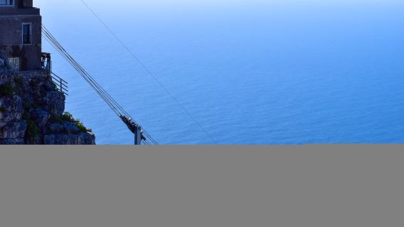 Lawatan Sehari Cape Town, Afrika Selatan [Sewaan Peribadi Berbahasa Cina] Tanjung Harapan + Pantai Penguin + Puncak Chapman