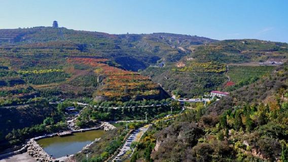 Κίνα, Σανξί, Ντατόνγκ: Ναός Κρεμαστός + Ξύλινος Πύργος της Επαρχίας Γινγκ + Σπήλαια Γιουνγκάνγκ | Πολύγλωσσος ξεναγός | Προσαρμοσμένο πρόγραμμα