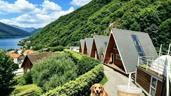 Tagesausflug nach Benxi ab Shenyang | Unterirdische Tropfsteinhöhle zur Sommerfrische [Familienausflug | Abholservice]