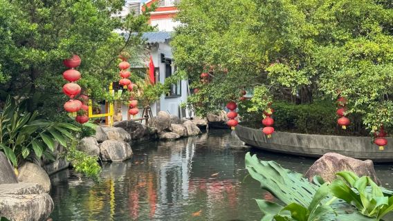 Lawatan Sehari di Jiangmen: Jalan Tiga Puluh Tiga Xu + Syurga Burung Xinhui + Kampung Chenpi | Pakej Peribadi Kecil dengan Pengangkutan Pintu ke Pintu