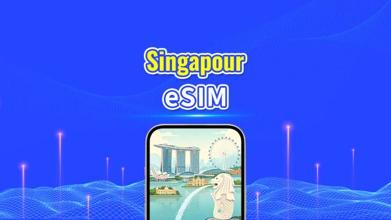 Singapour 4G eSIM | Double Réseau | Forfait de données quotidien/total | 1–30 jours | Facturation sur 24 heures | Code QR